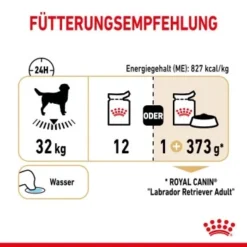 ROYAL CANIN Labrador Retriever Adul Stückchen In Soße 10x140g -Hund Miau Verkaufsgeschäft e1b9aa69501dfa69aba07a4197757f547480d88b c0052012c545f677414535f1cd3590ef4b841f2f