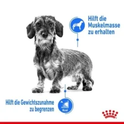 ROYAL CANIN Light Weight Care Adult Pouch 12x85g -Hund Miau Verkaufsgeschäft e25126e3d9ad03dfb13ab3dcd0b7898f21116a49 db099535ca14d5ccab562c519a3a458f233df36c