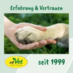 Fell & Haut Vital 150 G -Hund Miau Verkaufsgeschäft e43eaf71ae161fbb37d73e6d99ceb091a86fef78 1049905 de DE 9de31ae422c889f65e12a1085ee6ba81b11de6a3saphta