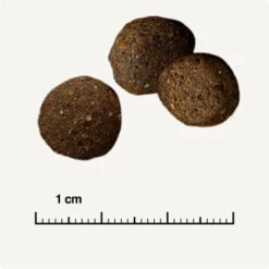 REAL NATURE WILDERNESS Desert Sands Kamel & Pferd 12 Kg 16 REAL NATURE WILDERNESS Desert Sands Kamel & Pferd 12 Kg -Hund Miau Verkaufsgeschäft e593299b652dffebc36cd625a372440b9780dd80 1297079 de DE 6