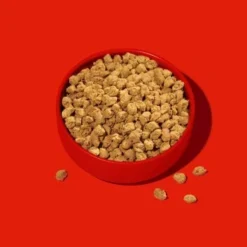 Fred & Felia FRED Rind 750 G -Hund Miau Verkaufsgeschäft e629c4431085eb568635dbadccebe1b6e655e5c2 1422083 de DE 0bdc8deb46f9eb049c2c9d365c2c15f6f2731653ReiBuh