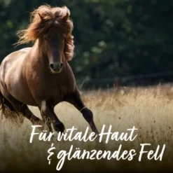 Aniforte Bierhefe Pulver 250 G -Hund Miau Verkaufsgeschäft e90f799f42291bc99923416c38244a01fcbd0b4c 1665877 de DE 065f59ee75fc3ae72a0315edf84d964644e562bc3Nrs7r