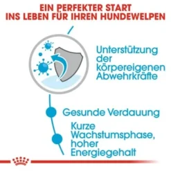 ROYAL CANIN Medium Puppy 10x140g -Hund Miau Verkaufsgeschäft ea01834e95d5331859ec66f06e01952c0612edab 86009acb36c61560ce965056594dc109940f0dfe