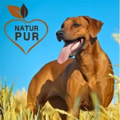 Fit-Crock Basic Rind Maxi -Hund Miau Verkaufsgeschäft ec357c554beb4e37f8bb7a6fb10e9f8ab884c69d 1687103 de DE c323a5c257120307a86f095cf5f49de81ac2f711Ful2Am