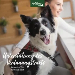 Aniforte Plus Magen & Darm 90 Tabletten -Hund Miau Verkaufsgeschäft ee4705a2057b1edfe526ac54d24ab38e77b08466 1455900 de DE 5c17b7bc229b49c1931595cd931e95f6c72ef6cddQne1A
