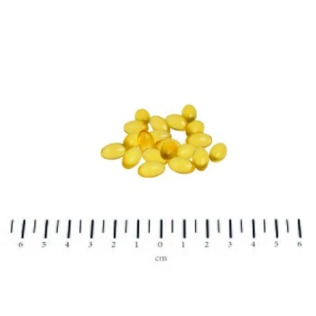 Canina PETVITAL Derm-Kapseln 40g 4 Canina PETVITAL Derm-Kapseln 40g – Bild 2