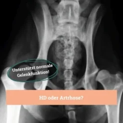 BeG Buddy Gelenk Fit Tabletten -Hund Miau Verkaufsgeschäft f4b9d51f2e78d12f2ca2a2fe6ae9f754ebede26e 1457251 de DE d18aefeba3109b170fc6ce5df4353512cf27c799DQ6Cd3