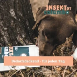 BeG Buddy Trockenfutter Insekten, Hypoallergenes Insektenfutter - Sensitive 4 Kg -Hund Miau Verkaufsgeschäft f85f63dc5514e39c7ef9a303fe5acb15de845d29 1457248 de DE 123bfe8a8f9618b3a58ac5efe483c5e0ad6f0bd2eHaCTU