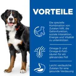 Hill's Science Plan Senior Vitality Large Breed Mature Adult 6+ Mit Huhn 14 Kg -Hund Miau Verkaufsgeschäft f9e7891f0b0bb96357430cc68b8deb1ca3a64989 52742025964 4