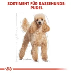 ROYAL CANIN Poodle Adult In Soße 12x85g -Hund Miau Verkaufsgeschäft fb86c0620865f030df6bf40428c3486f929a93cf 88b6bb860653cd13cab44fad51b4b8db62a7114c