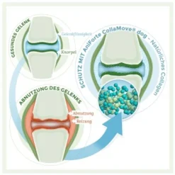 Aniforte CollaMove Kollagen Dog 250 G -Hund Miau Verkaufsgeschäft fbf5a9dc08423de08f5c9740ea99fa2e524d47dc 1457284 de DE 93f83ccbd87110a8284ed4e38cb6148f2a1dc492cVu2P6