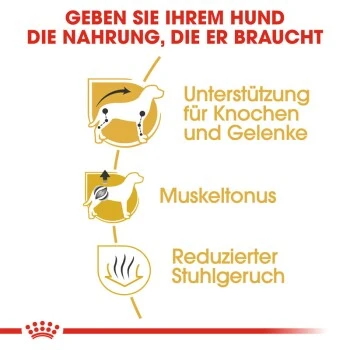 ROYAL CANIN Dachshund Adult 7,5 Kg 6 ROYAL CANIN Dachshund Adult 7,5 Kg – Bild 4