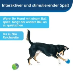 PetSafe Elektronisches Hundespielzeug Ricochet -Hund Miau Verkaufsgeschäft fde7c0cc07cd70611ca47b65ddae3e632f160d94 1418724 de DE 4f6e4953c50827cae26a42d6d5890e56447a49a4XQHEwC