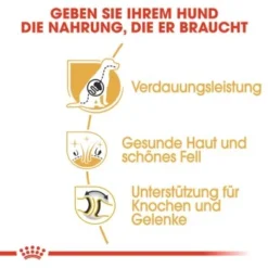 ROYAL CANIN Deutscher Schäferhund Adult 11 Kg -Hund Miau Verkaufsgeschäft fe690fb768178457f58d7e7abecde67f645e579e 85b6bf108946b4aed4fddc542a5c0d9e7d1061ae