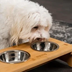 Lionto Erhöhte Futterstation Aus Bambus Braun/ Silber S -Hund Miau Verkaufsgeschäft ff2eba128a0d6b75a70cc824dc213b8dd85d734a 1665921 de DE e23b5a688ebe67bbe1f23e079b16083d61ef18cdlFh9kV